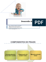 2018 Desarrollo de Praxis Fv1 PDF
