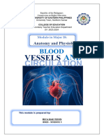Tizon R Blood Vessels and Circulation