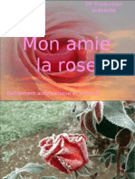 DP – Mon amie la rose