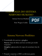 03 Sistema Nervoso Humano SNP