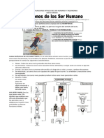 Taller de Funciones Vitales Del Ser Humano y Taxonomia