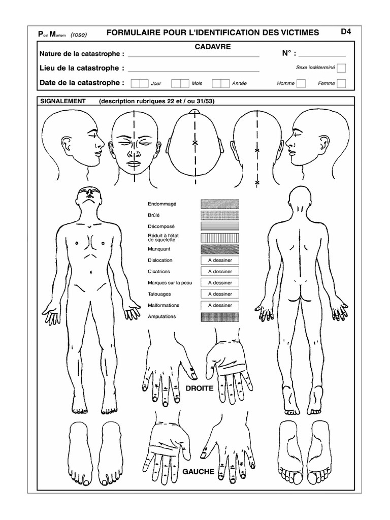 Formulaire identification pdf