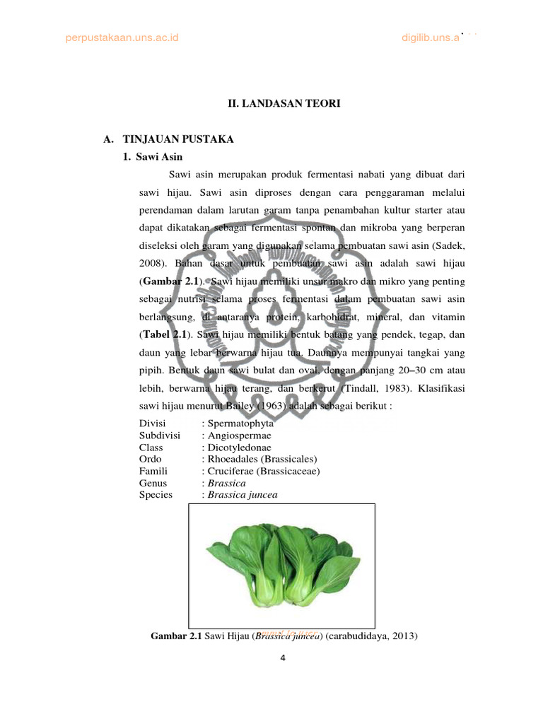 BAB 2 Sawi Asin (Digilib Uns.ac Id) PDF