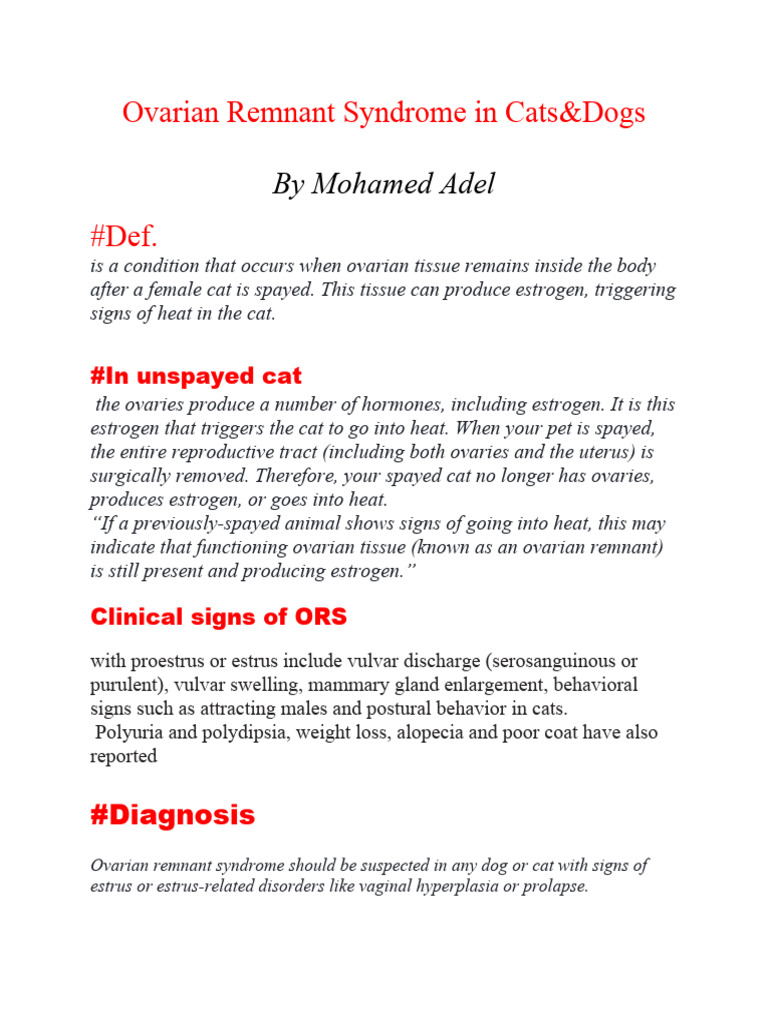 Ovarian Remnant Syndrome in Pets | PDF | Ovary | Estradiol