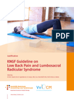 KNGF Guide On Low Back Pain Justification
