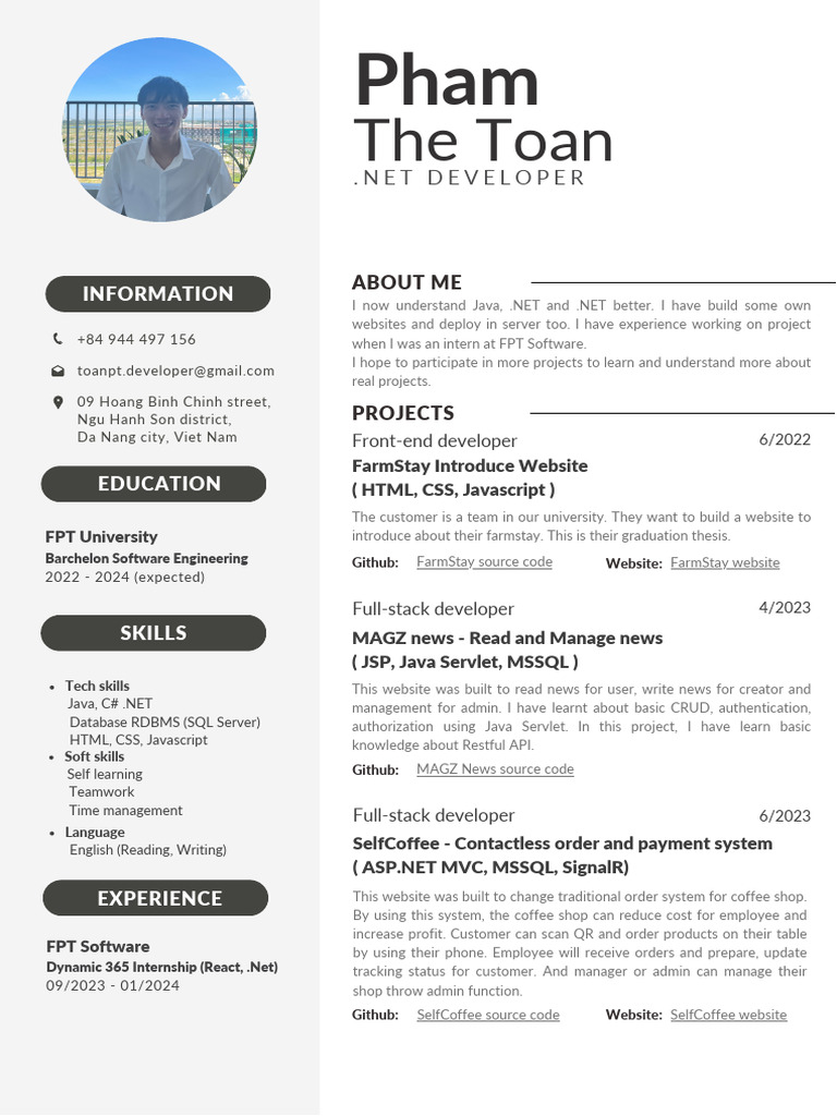 Front-End Developer Skills & Projects | PDF | Microsoft Sql Server ...