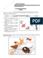 Cs Naturales Guia Niveles Organizacion