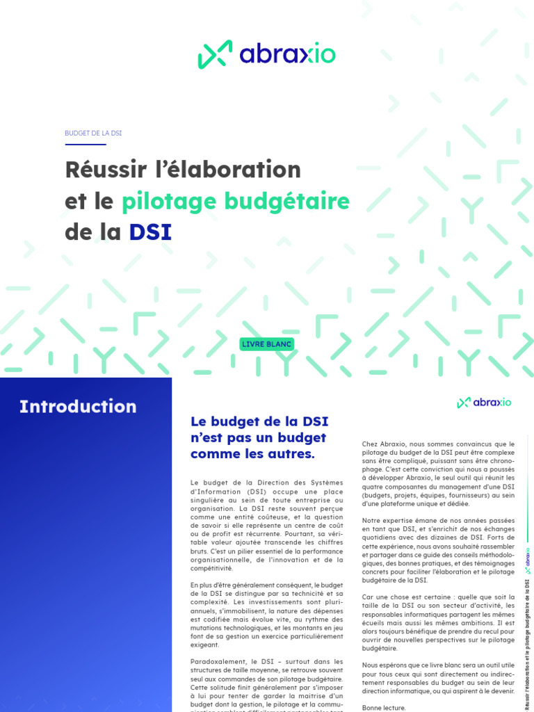 Pilotage efficace du budget DSI | PDF | Budget | Dépense d ...