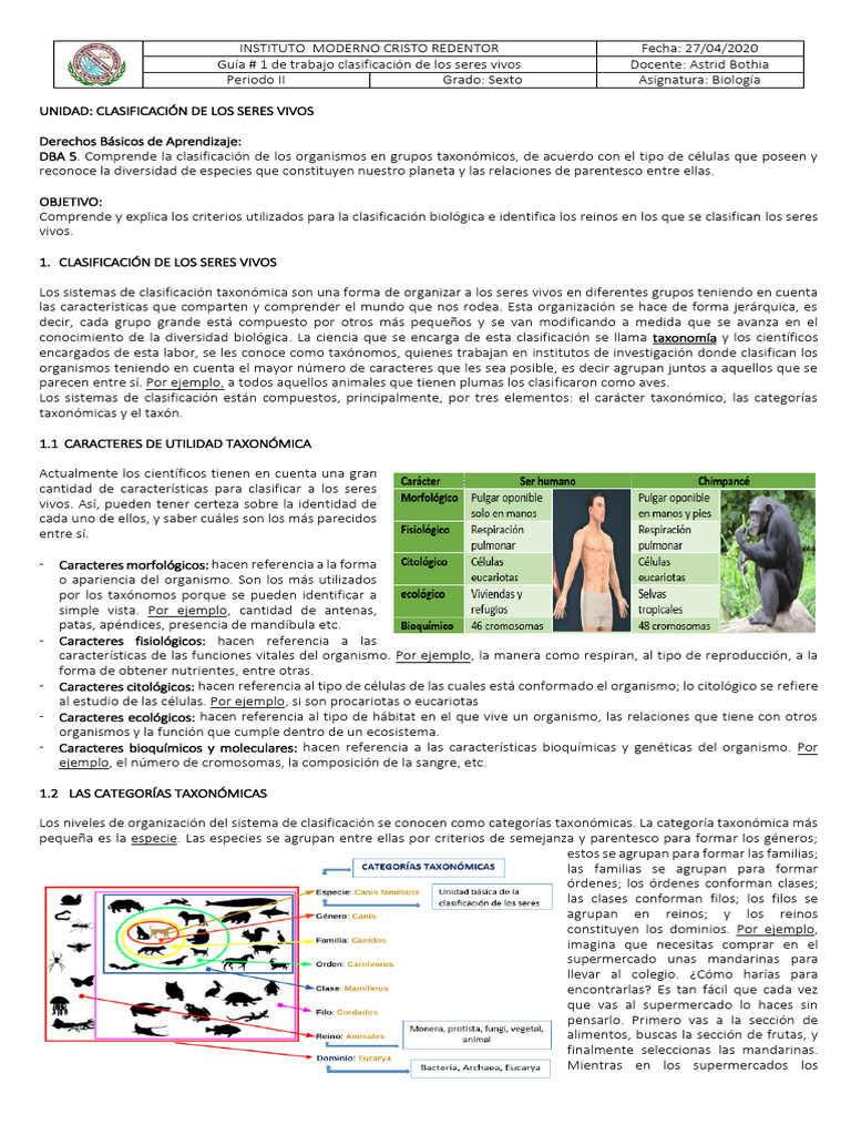 Clasificacion Seres Vivos Pdf Taxonomía Biología Organismos