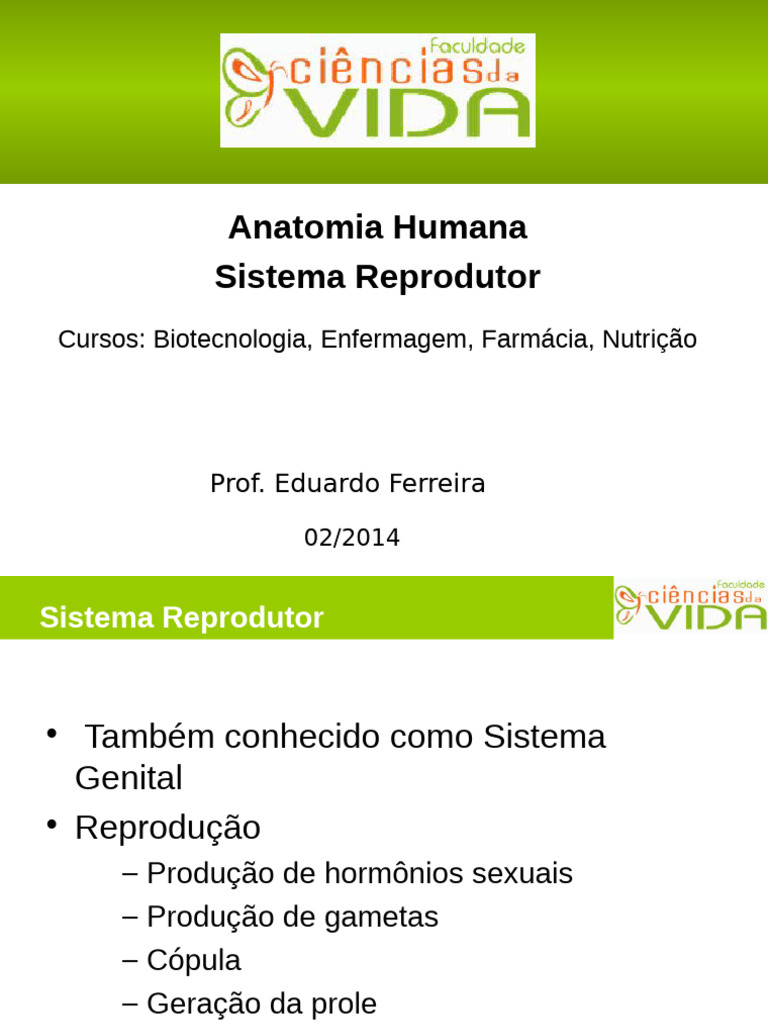 aula-reprodutor1-pdf-sistema-reprodutivo-rg-o-sexual