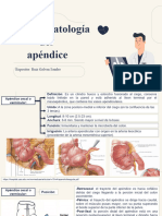 Anatomopatologia Del Apendice