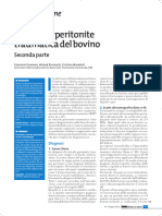 Reticolo Peritonite Traumatica II