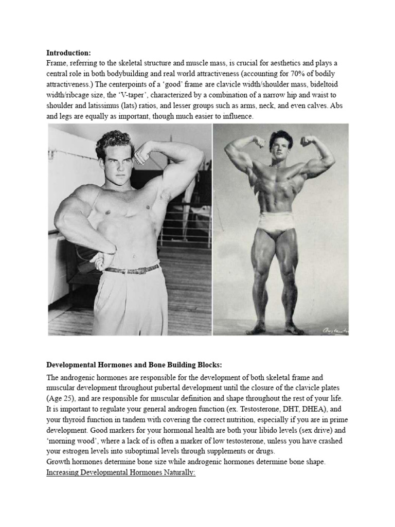 Frame Guide 1 Download Free Pdf Shoulder