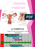 Clase N°9 - Fisiología Sistema Reproductor