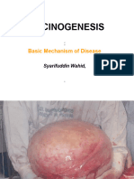 Carcinogenesis (Neoplasm 2)