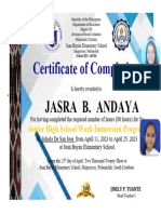 Certificate of Completion Immersion