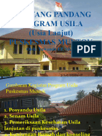 Materi Usila OK