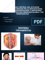 Sistema Urogenital