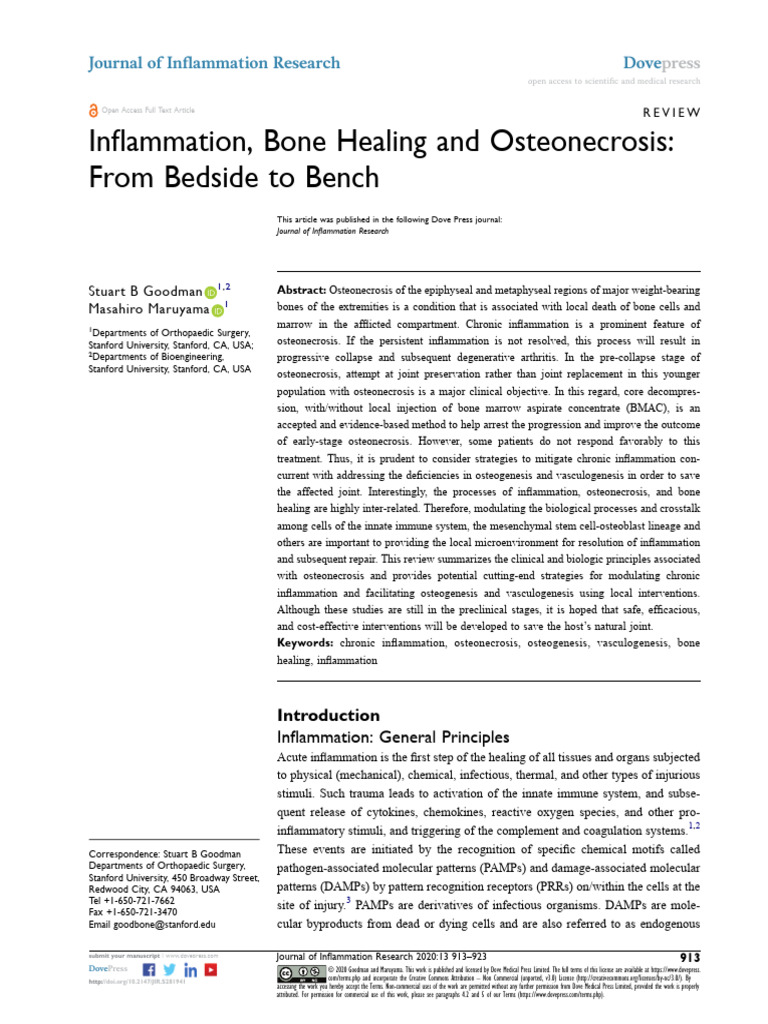 Inflammation Bone Healing And Osteonecrosis Pdf Inflammation Nf κb
