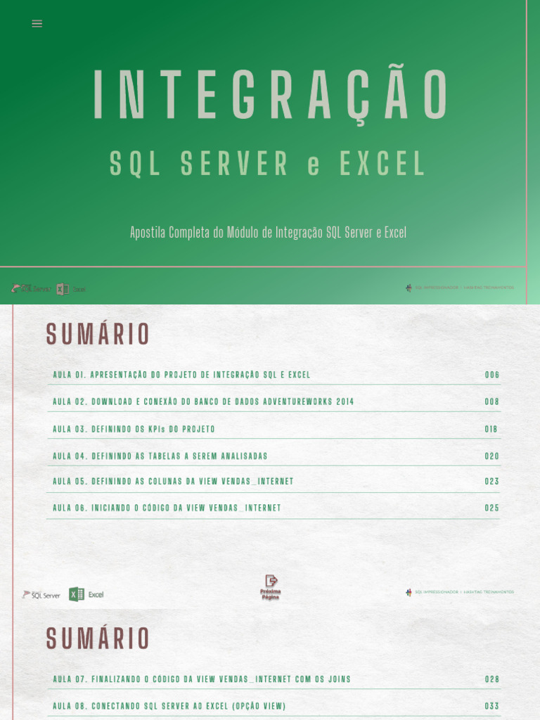 Integração SQL Server e Excel | PDF | Microsoft SQL Server | SQL