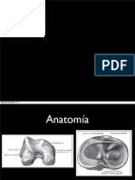 Proyecciones de La Rodilla