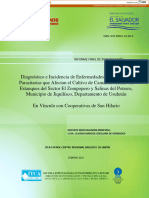 Informe Final de Investigación: ISBN: 978-99961-50-60-9