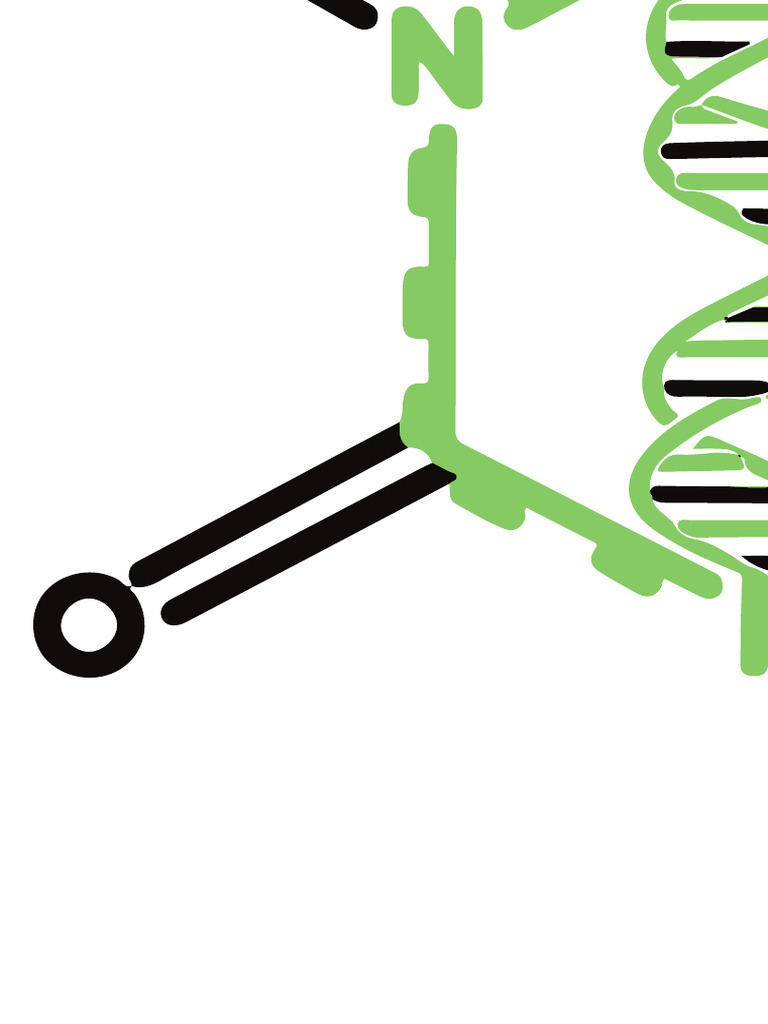Biote | PDF