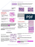 Bitácora de Histologia P2