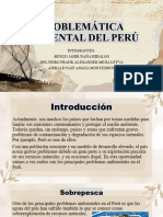 Problemática Ambiental Del Perú, Grupo 1