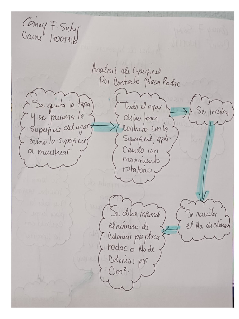 Superficie placa Rodac | PDF