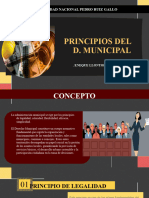 TRABAJO FINAL MUNICIPAL