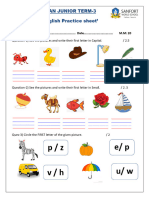 English Practice Sheet San Junior Term-3 .