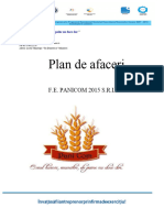 Plan de Afaceri Panicom