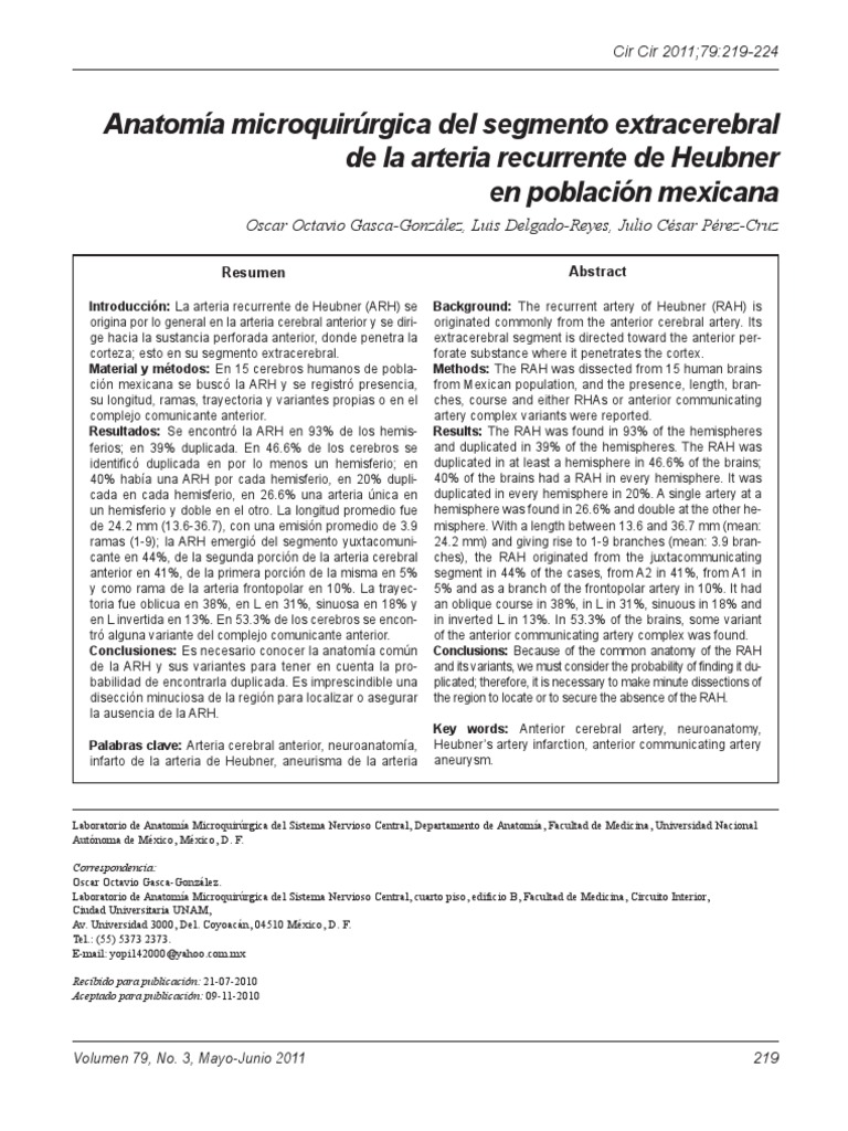 Anatomía de la arteria recurrente de Heubner | PDF | Neuroanatomía ...