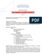 GUÍA APARATO GENITAL MASCULINO