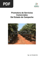 Download Papaya Maradol by Ernesto Felix Torrontegui SN72976669 doc pdf
