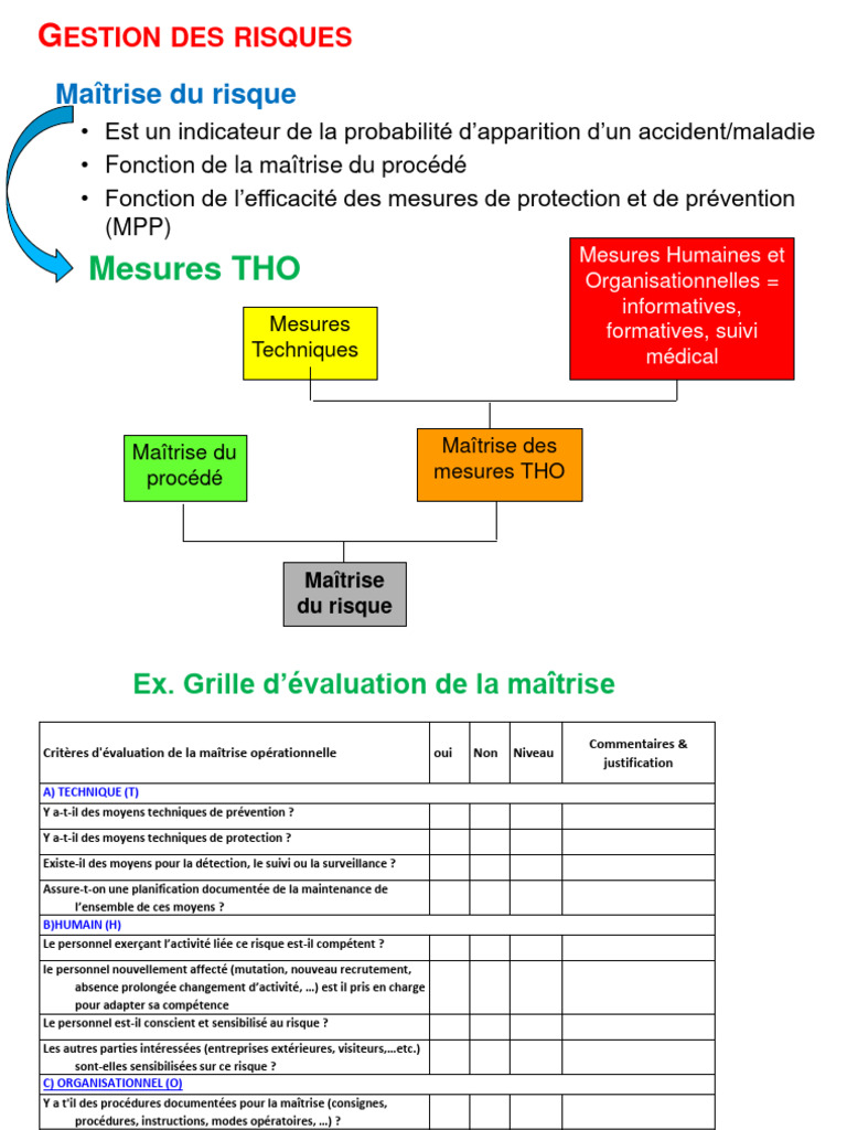 Maîtrise des Risques HSE en Entreprise | PDF | Risque | Gestion des risques