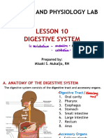 Digestive System W Notes