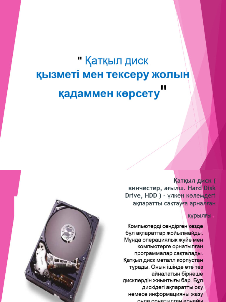 БДСМ әйелге арналған дәретхана