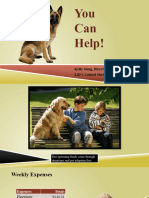 Pet Adoptions and Caring