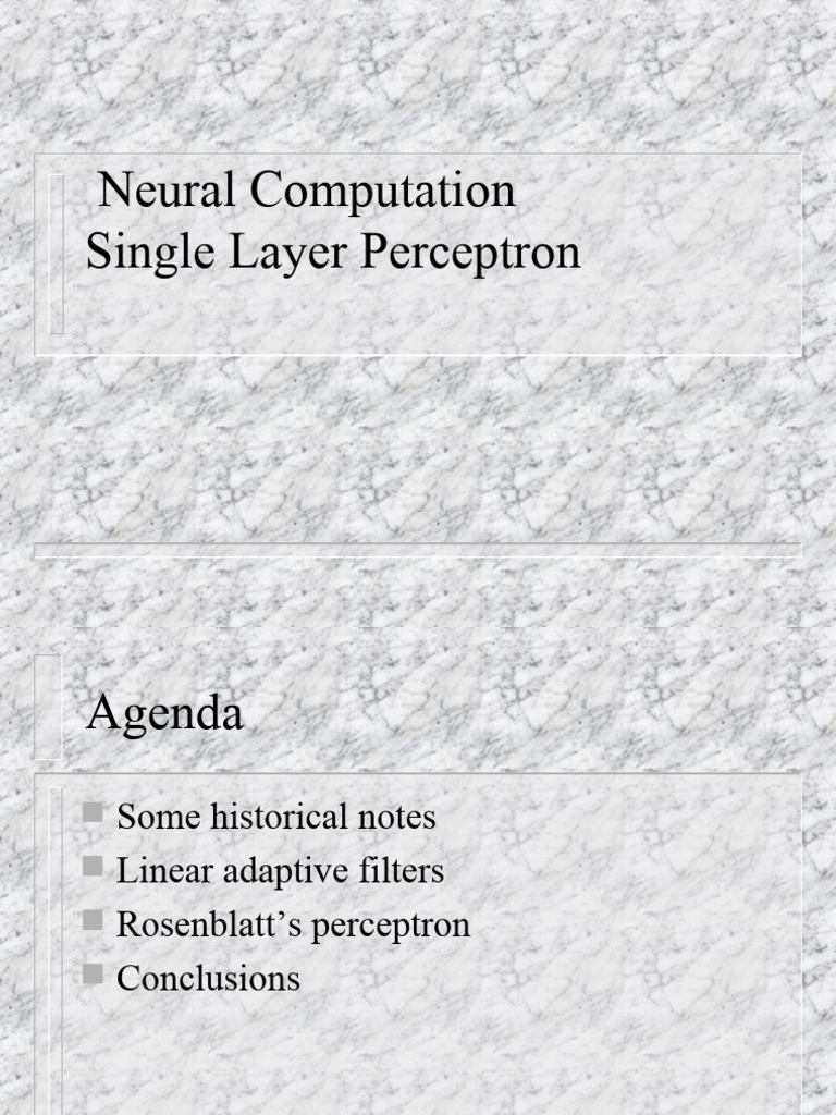 Single Layer Perceptron Overview | PDF | Applied Mathematics | Algorithms