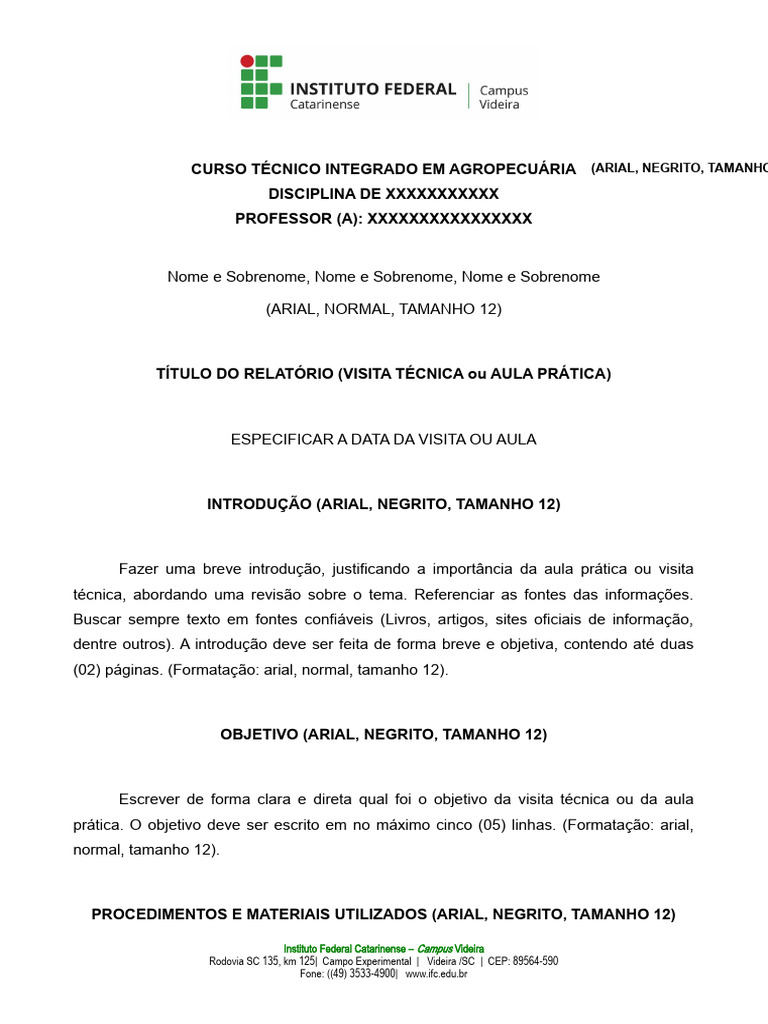 modelo-relatrio-editvel-pdf