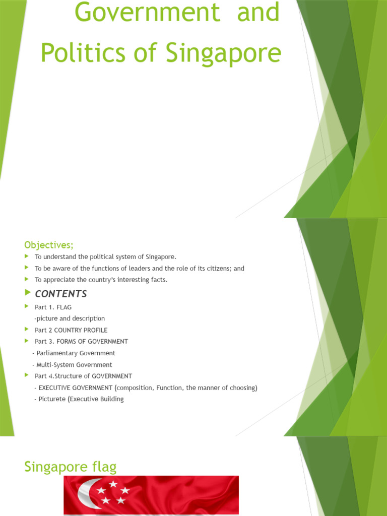 Singapore Government Structure Overview | PDF | Court Of Appeal Of ...