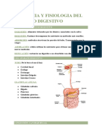 Anatomia y Fisiologia Aparato Digestivo