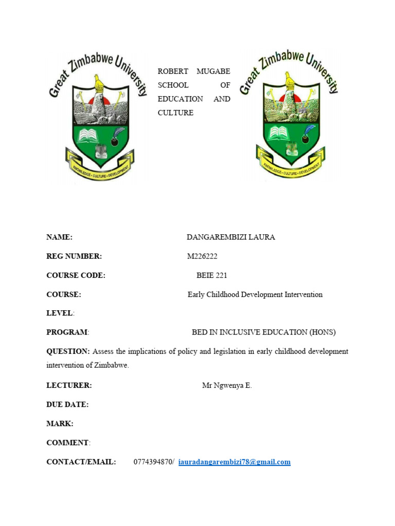 Zimbabwe visual data 4