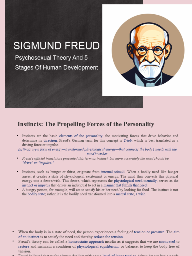 Freud's Instincts and Unconscious Mind | PDF | Id | Unconscious Mind