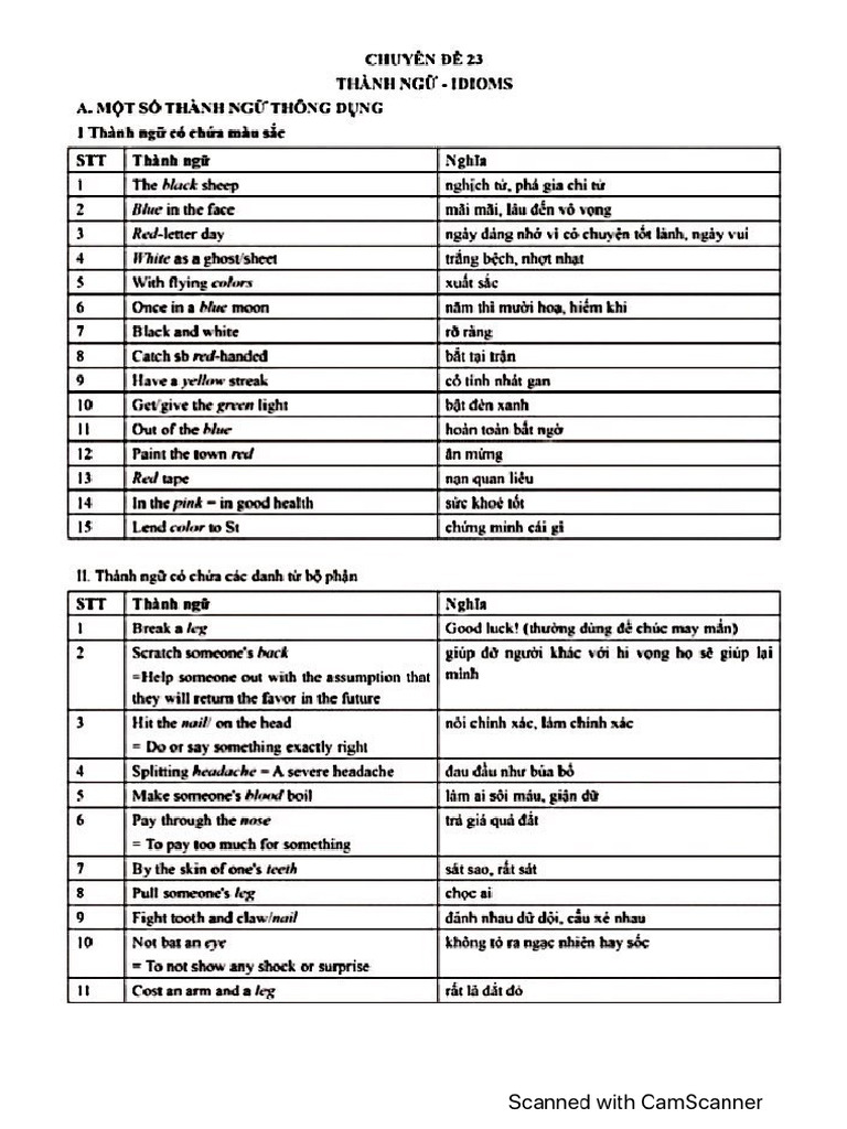 Idioms | PDF