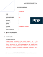 FORMATO DE INFORME PSI