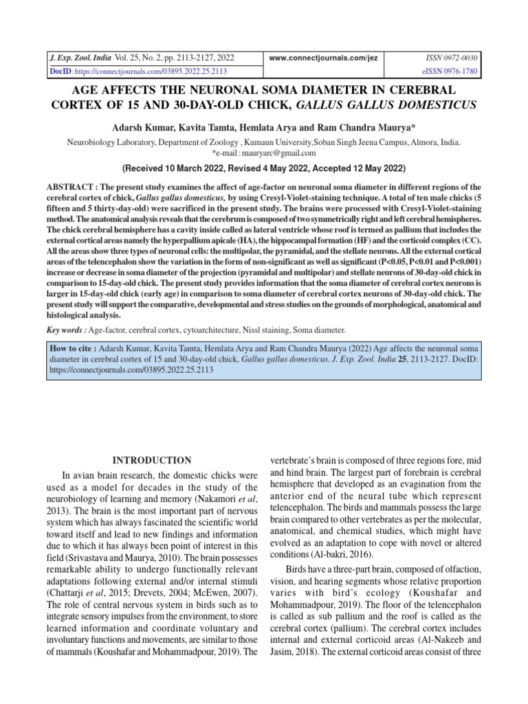 j-exp-zool-india-2022-pdf-cerebrum-cerebral-cortex