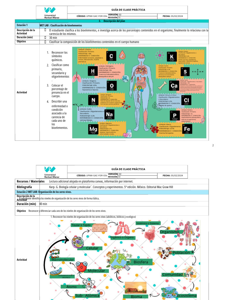 Clasificación de Bioelementos y Porcentajes | PDF | Especialidades ...
